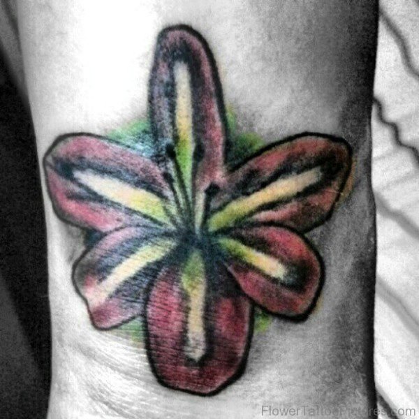Picture Of Amaryllis Flower Tattoo