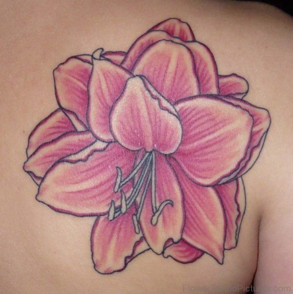 Pink Amaryllis Flower Tattoo On Shoulder