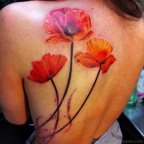 Poppy Flowers Tattoo