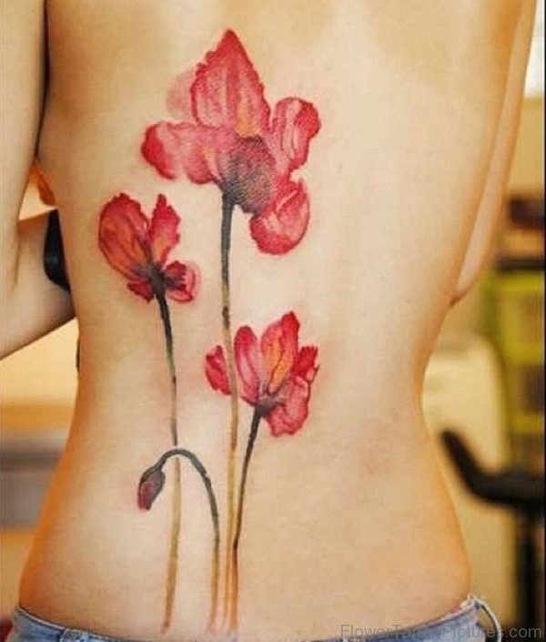 Pretty Poppy Tattoo