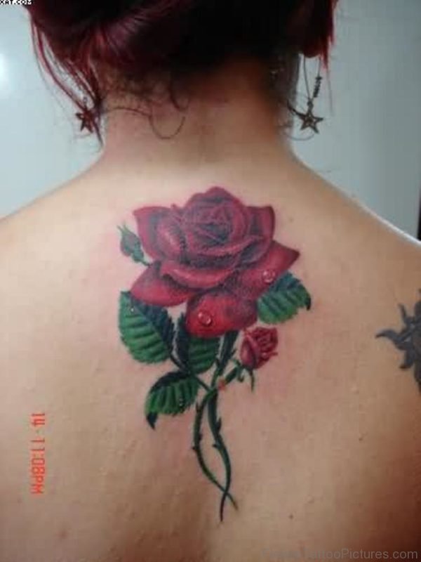 Realistic Rose Vine Tattoo On Upper Back