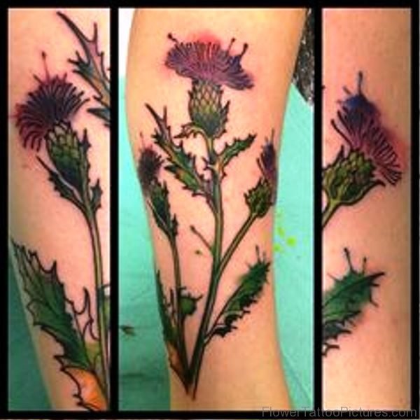 Red Alpine Thistle Flower Tattoo