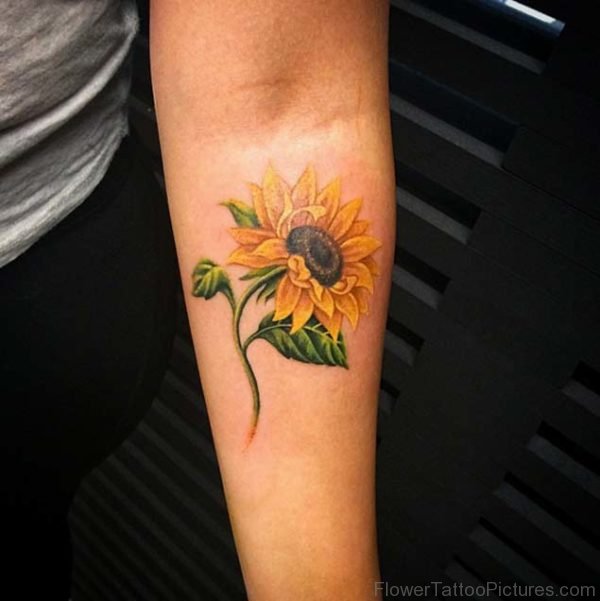 Sweet Sunflower Tattoo On Arm