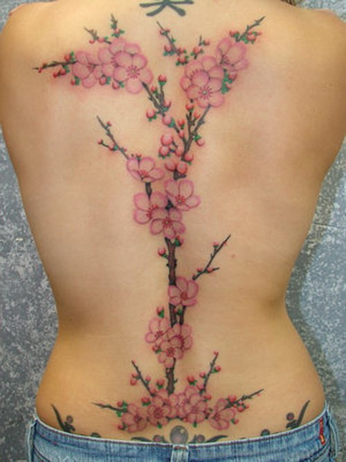 Womderful Cherry Blossom TattooOn Full Back