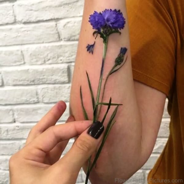 3D Cornflower Tattoo On Arm