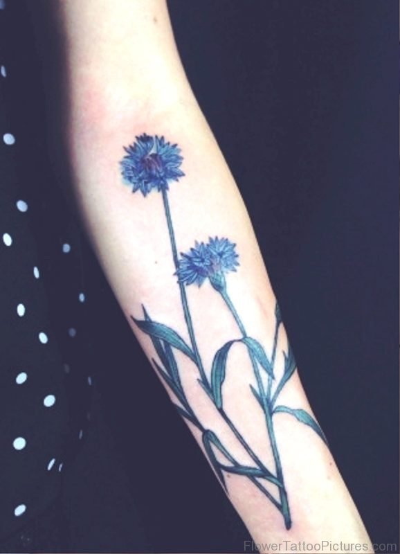 Adorable Cornflower Tattoo On Arm
