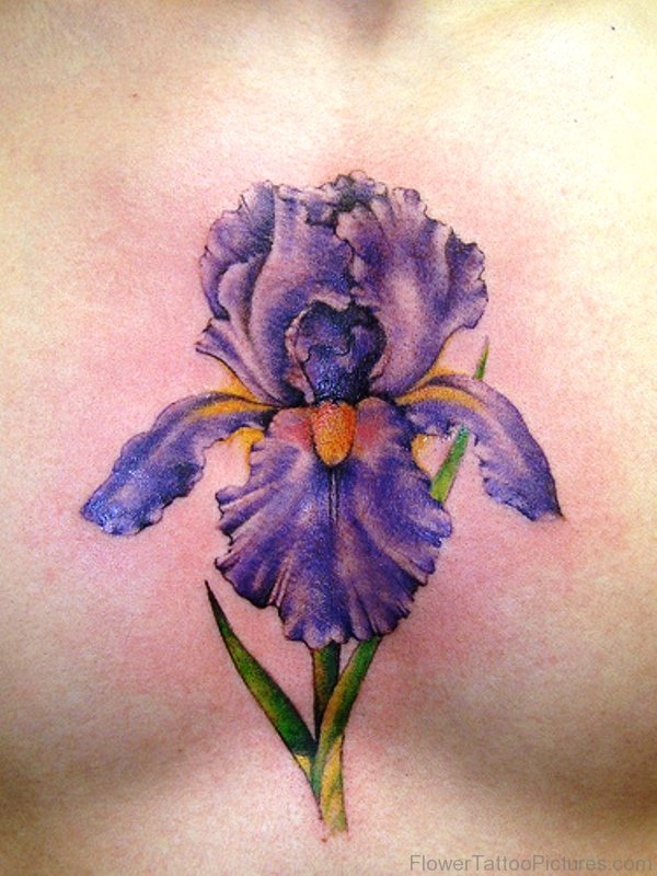 Adorable Iris Flower Tattoo On Chest