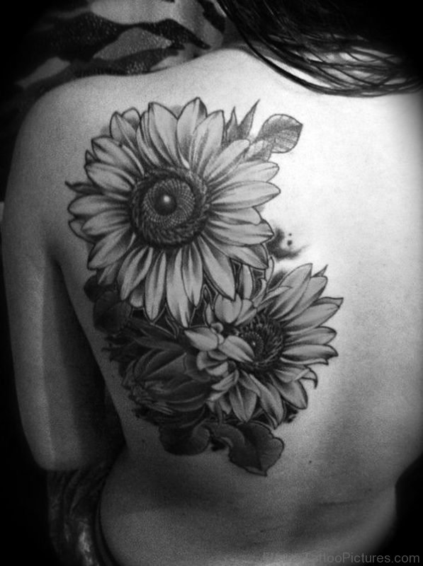 Adorable Sunflowers Tattoo On Back Shoulder