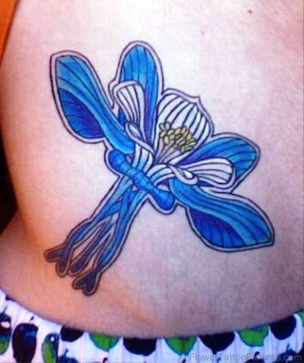 Amazing Blue Columbine Tattoo