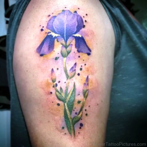 Attractive Iris Flower Tattoo On Shoulder