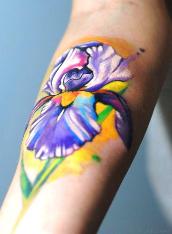 Awesome Colorful Iris Flower Tattoo On Arm
