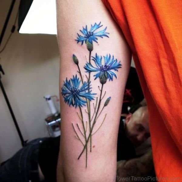 32 Beautiful Cornflower Tattoos