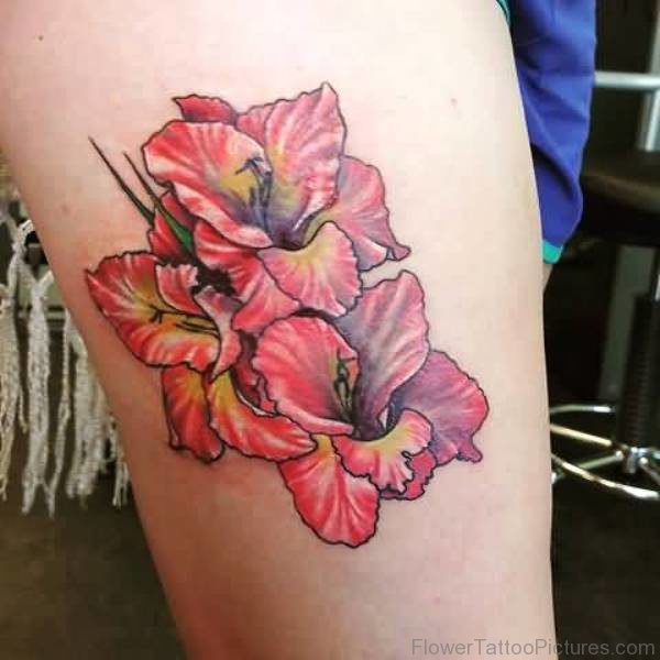 Awesome Gladiolus Flower Tattoo Design