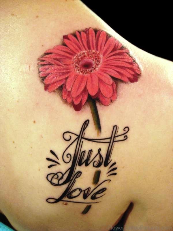 Barberton Flower Tattoo On Shoulder