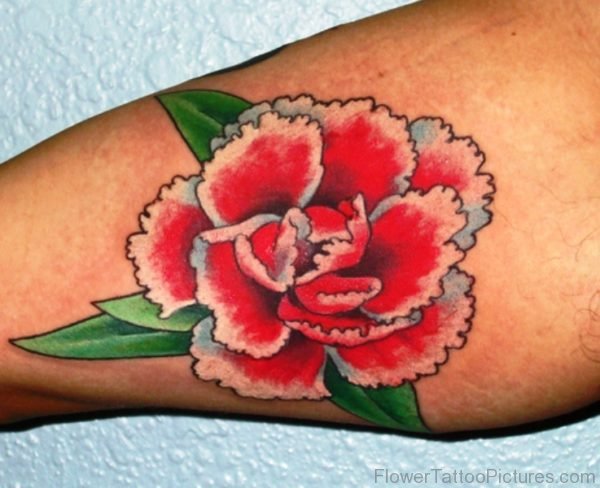 Beautiful Carnation Flower Tattoo On Arm