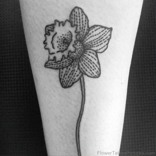 Best Daffodil Flower Tattoo Design