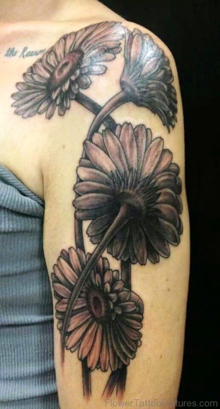 Big Barberton Flowers Tattoo On Arm