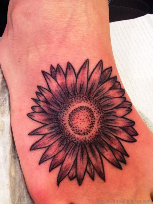 Brilliant Barberton Flower Tattoo On Foot