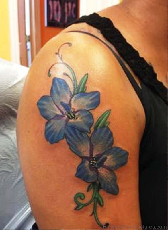 Brilliant Larkspur Flowers Tattoo On Shoulder