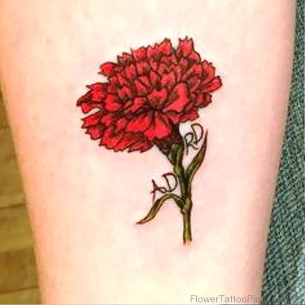 Carnation Flower Tattoo Pic