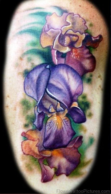 Colorful Image Of Iris Flower Tattoo