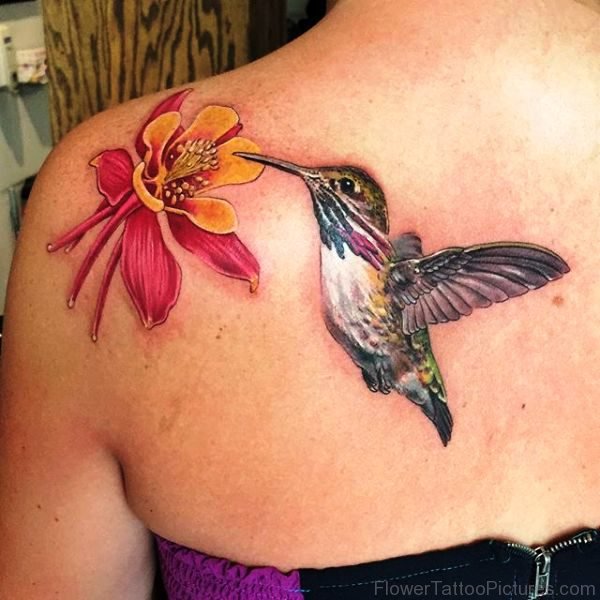 Columbine And Hummingbird Tattoo