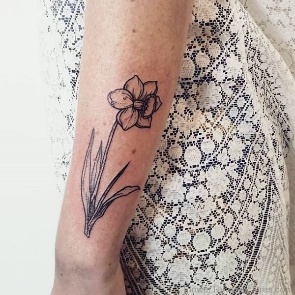 Daffodil Flower Tattoo Image