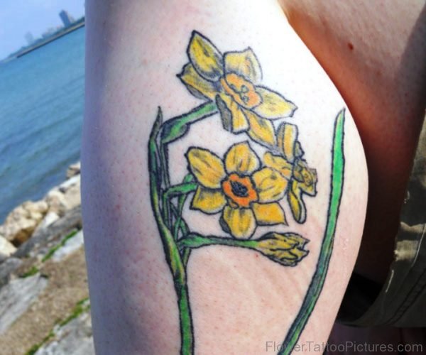 Daffodil Flowers Tattoo Picture