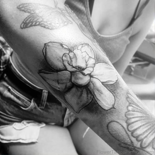 Daffodil On Arm