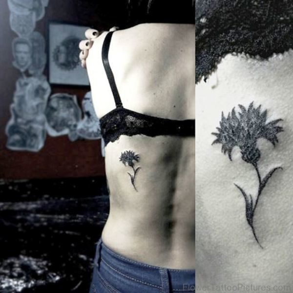 Dark Grey Cornflower Tattoo On Back