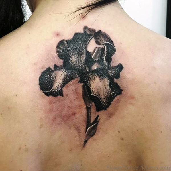 Darl Grey Iris Flower Tattoo On Back