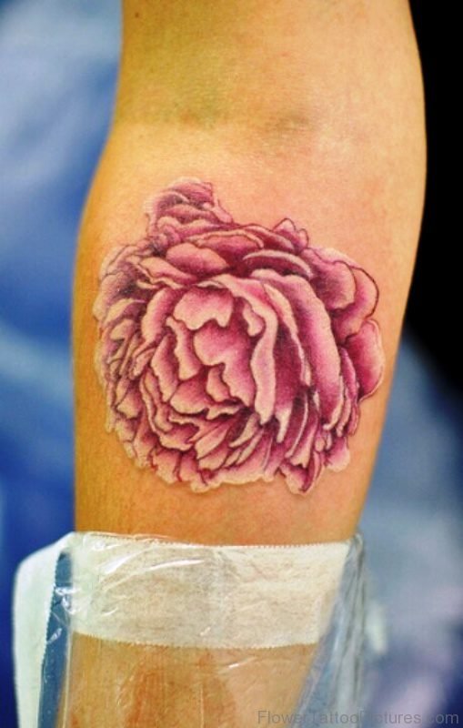 Dazzling Carnation Flower Tattoo On Arm