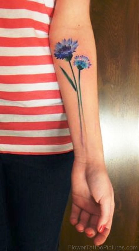 Dazzling Cornflowers Tattoo On Arm