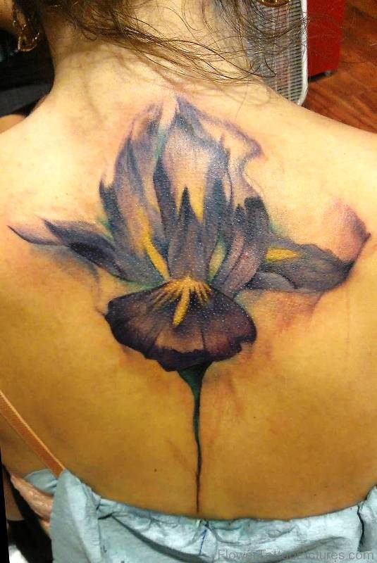 Dazzling Iris Flower Tattoo On Back