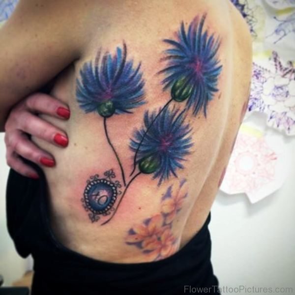 Excellent Cornflowers Tattoo On Back