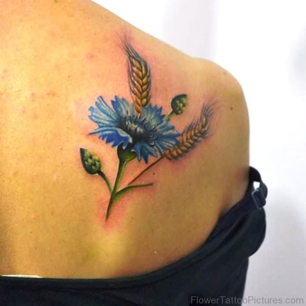 Fabulous Cornflower Tattoo On Shoulder