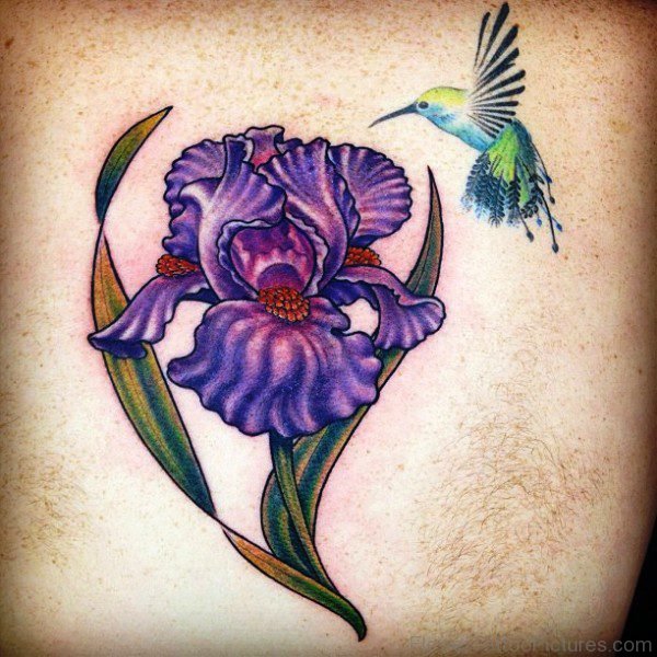 Flying Humming Bird Ands Iris Flower