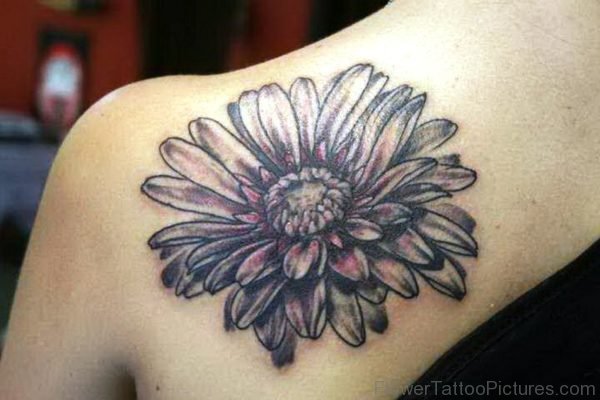 Grey Barberton Flower Tattoo On Shoulder