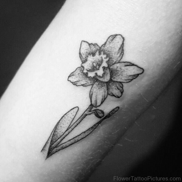 Grey Daffodil Flower Tattoo Design