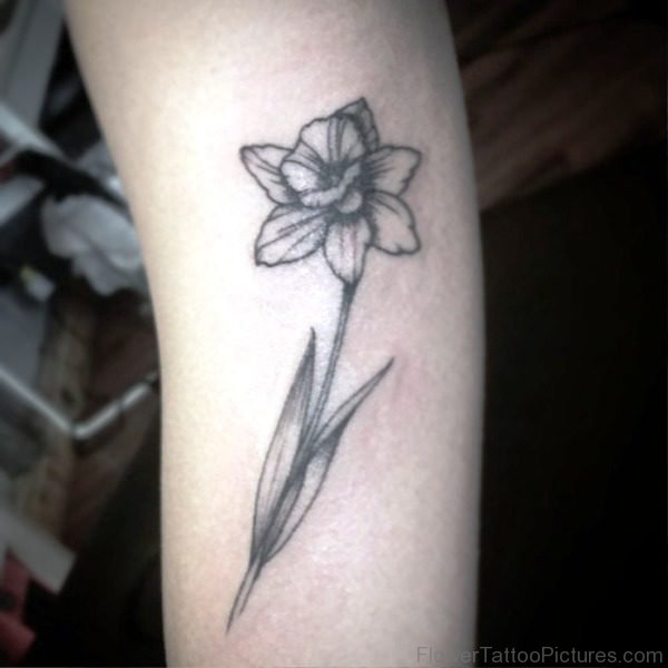 Grey Daffodil Tattoo On Arm