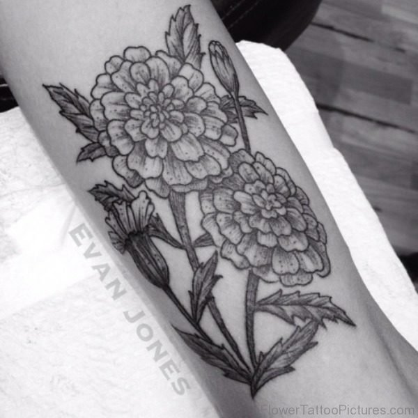 Grey Inked Marigold Flower Tattoo Design