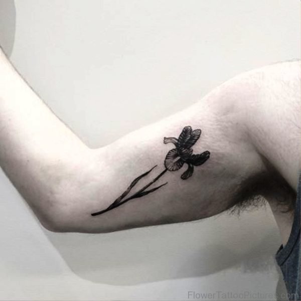 Grey Iris Flower Tattoo On Biscep