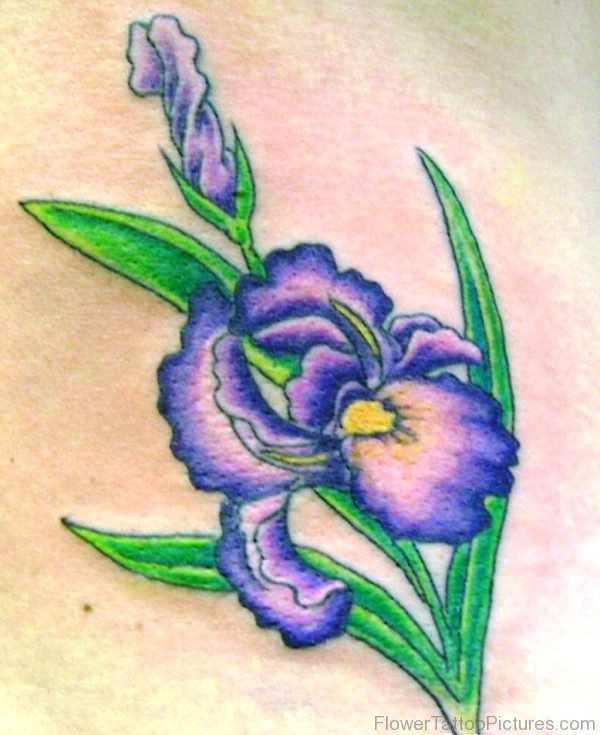 Image Of Iris Flower Tattoo Design
