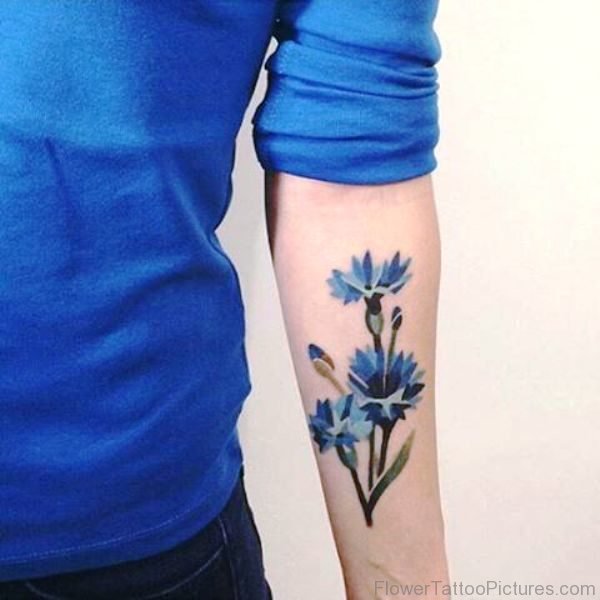 Impressive Cornflowers Tattoo On Arm