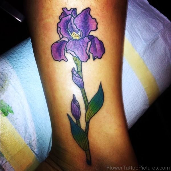 Iris Flower Design Image