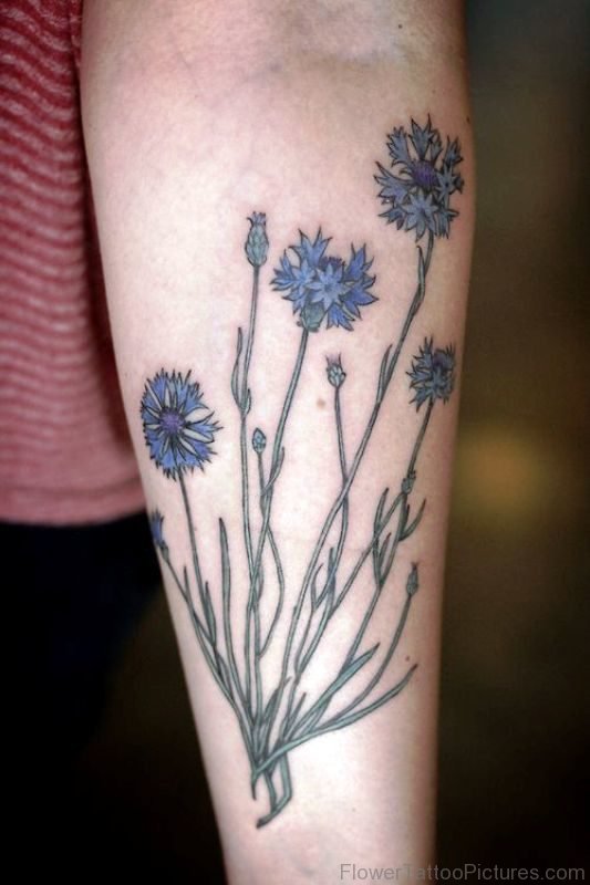 Little Cornflowers Tattoo On Arm