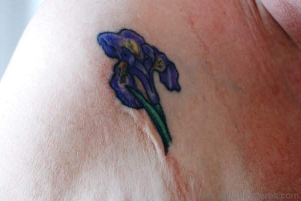 Little Iris Flower Tattoo Design