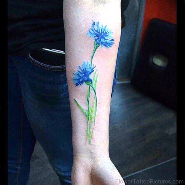 Lovely Cornflowers Tattoo On Arm