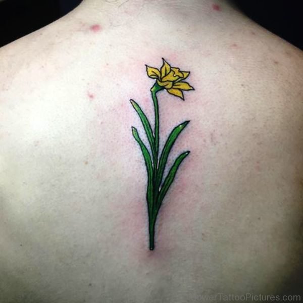 Lovely Yellow Daffodil On Back