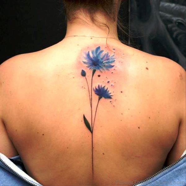Magnificent Cornflower Tattoo On Back
